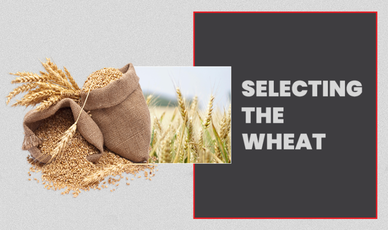 Selecting the Wheat from former